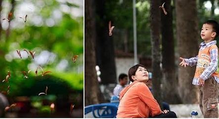 Tiếc nuối những 'gã trai' hào hoa Sài Gòn