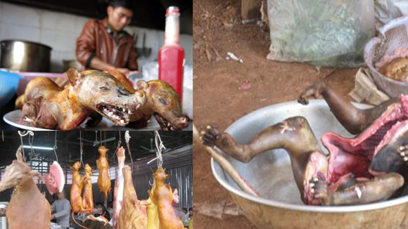 Bữa ăn tàn độc và sự báo oán cuộc đời