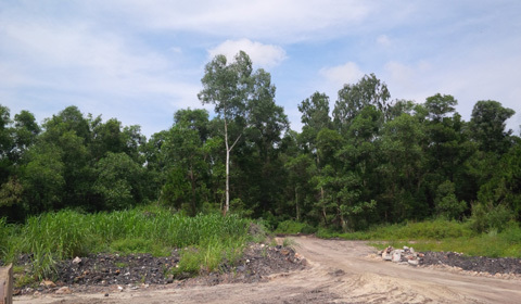 Thông tin tiếp vụ thu hồi đất của bà Bùi Thị Tám ở Quảng Ninh