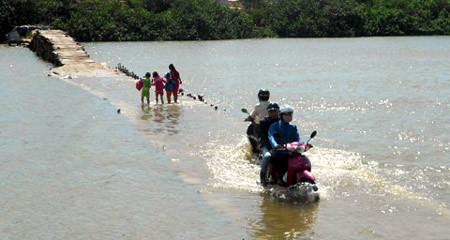Nín thở qua cây cầu 'có một không hai' ở Việt Nam
