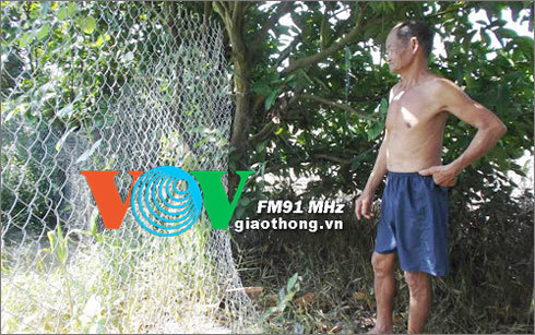 Sự thật về thùng gỗ 1.500kg vàng ở Đồng Tháp