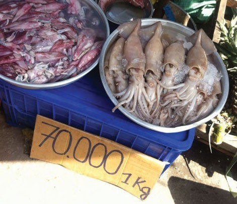 Mực khủng 70 ngàn/kg tràn vỉa hè Sài Gòn