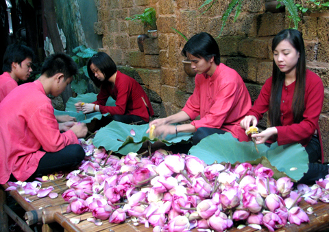 Trà sen cổ Hà Thành: 5 triệu/kg, có tiền không dễ mua