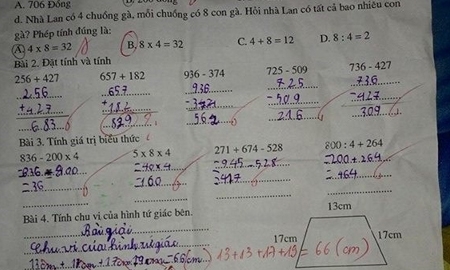 Chủ biên SGK toán tiểu học nói gì về bài toán tính gà?