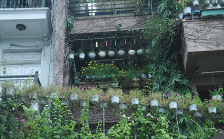 Kỳ thú “Ngôi nhà chậu hoa” triệu đô ở Hồ Tây