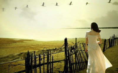 Yêu em bây giờ ư? Muộn rồi...