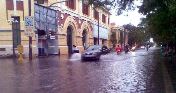 Hải Phòng: Đường ngập, cây đổ la liệt sau bão