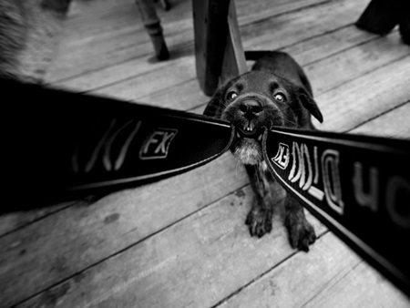 Những khoảnh khắc đáng yêu nhất của tuổi thơ vùng quê