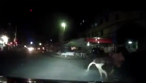 Tên cướp kéo lê thiếu nữ trên đường