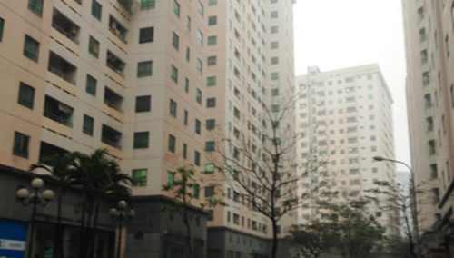 Chuyện người đàn bà nuôi chuột ở  chung cư Trung Hòa Nhân Chính