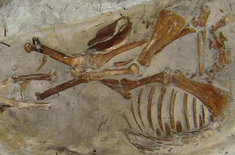 Những ngôi mộ kỳ bí nhất thế giới