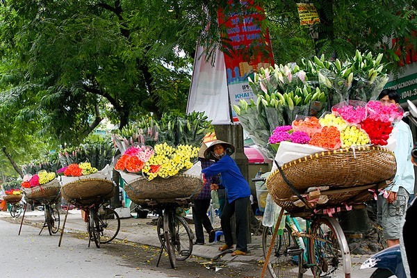 Bộ ảnh tuyệt đẹp về 