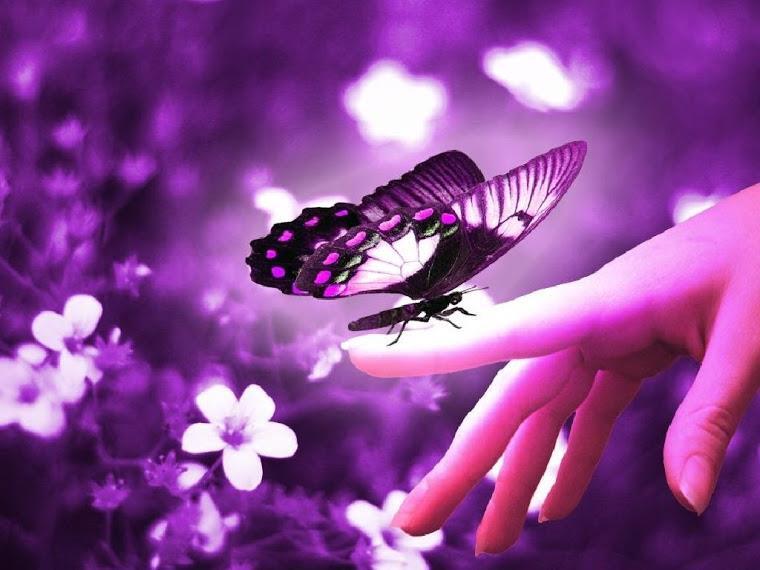 Đàn ông ngoại tình là do đàn bà… ngộ nhận?