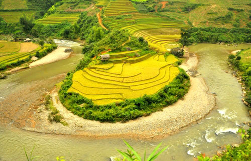 Mù Cang Chải thôi miên du khách mùa lúa chín