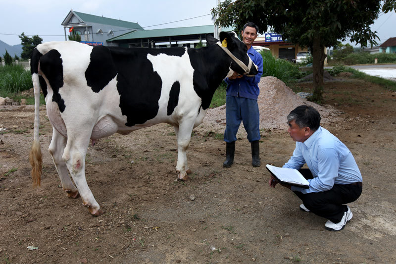 Ngắm, nắn, đo vòng một khủng để chọn hoa hậu