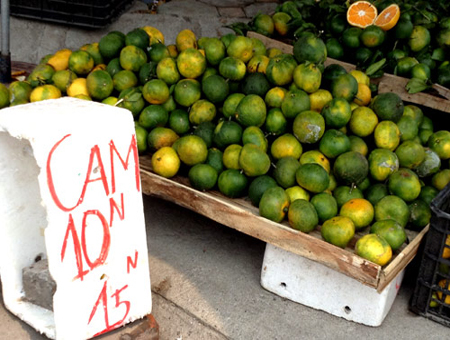 Cam Trung Quốc đội lốt cam Hà Giang 