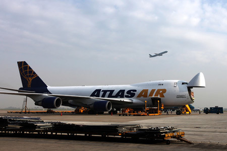 Bò cao sản đi máy bay Qantas về Việt Nam