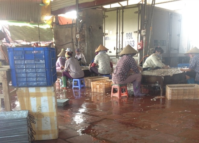 Chợ nội tạng thối lớn nhất miền Bắc: Ngửi mùi đã phát nôn