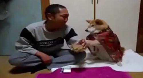 Con chó biết ngăn chủ uống rượu