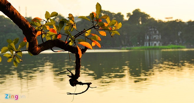 Những hình ảnh Hà Nội làm xao xuyến lòng người