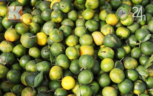 Cam 12.000 đồng/kg không hẳn là cam Trung Quốc