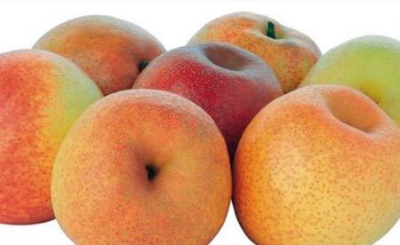 Táo, lê nhập khẩu sẽ được giám sát chặt chẽ