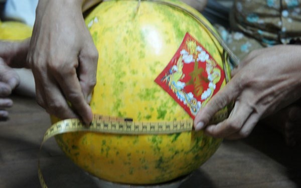 Dưa lạ: 9 tháng không hỏng, ngày càng to