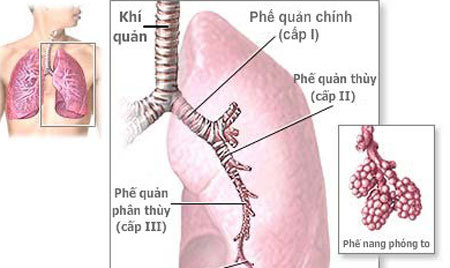Một bài báo khoa học của Việt Nam bị rút khỏi tạp chí quốc tế
