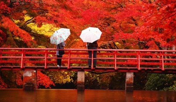 10 điểm chụp cảnh lá thu tuyệt đỉnh nhất thế giới