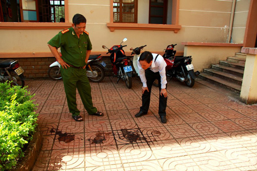 Dư luận trái chiều về cái chết của thanh tra giao thông nhảy lầu