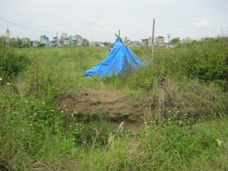 Oái oăm con dâu bắt bố chồng dỡ nhà