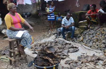 Thịt thú rừng – khởi nguồn đại dịch Ebola