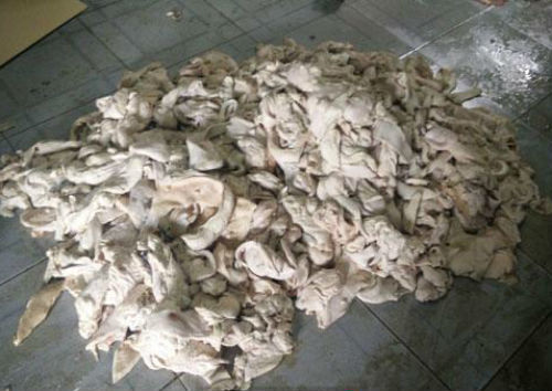 Sản xuất dầu ăn từ mỡ heo thối