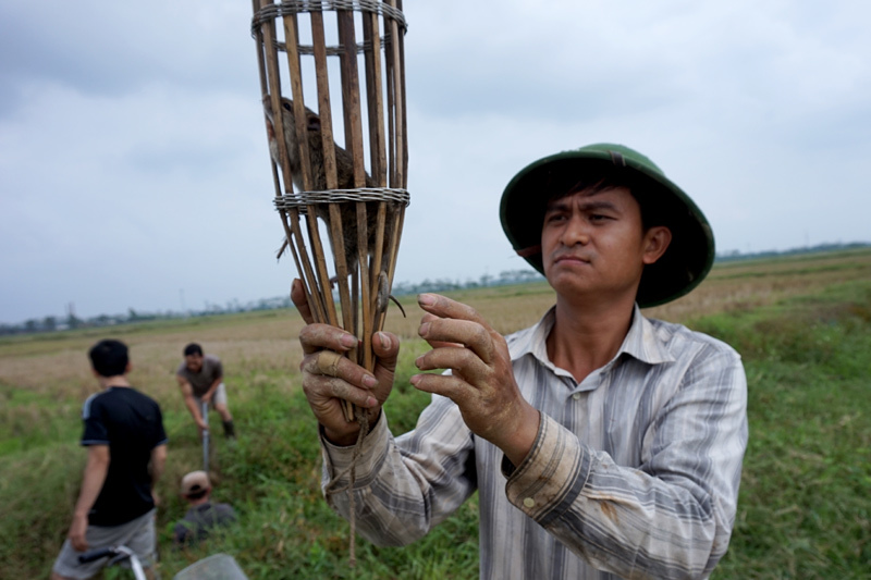Cảnh trai tráng Thủ đô săn chuột nhậu cuối tuần