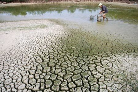 Gia tăng nguy cơ hoang mạc hóa ở Việt Nam