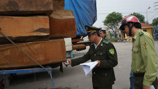 Phạt hơn 250 triệu với đoàn xe siêu trọng chở gỗ từ Lào