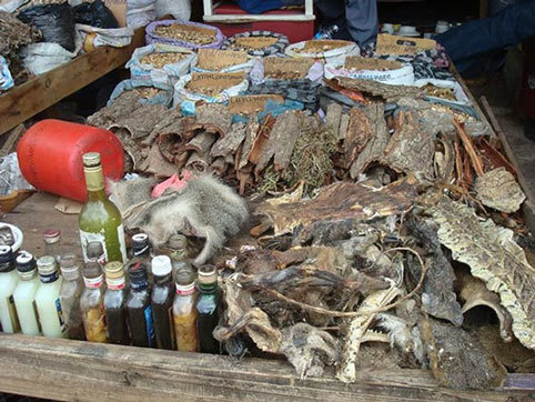 Lùng mua bùa yêu để săn “phi công trẻ