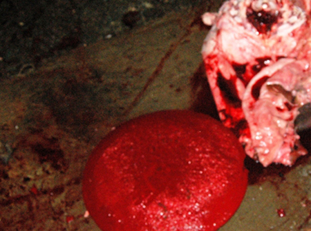 Lợn giả bò, cá giả quê: Đáng sợ bữa ăn toàn đồ giả