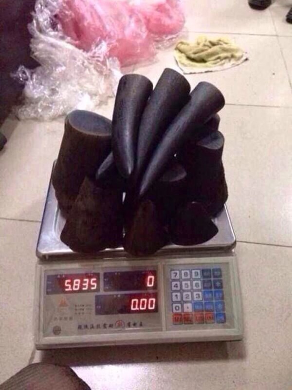 Vào ngôi làng sừng tê giác nhiều như sừng trâu