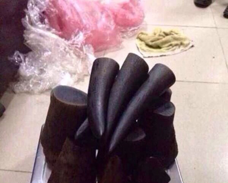 'Kho' sừng tê giác trong nhà đại gia Hà Tĩnh