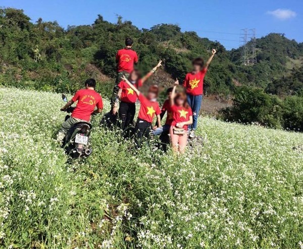 Dân mạng dậy sóng vì phượt thủ chạy xe máy tàn phá cánh đồng hoa cải