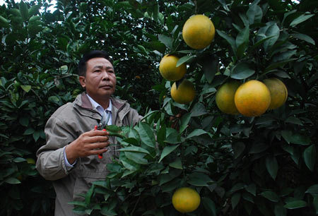 Huyện có trên 5.000 triệu phú