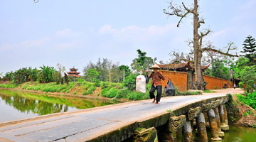 Mẹ quê lên thành phố