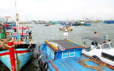 Bão giảm cấp 8 đổ bộ Bình Định - Phú Yên