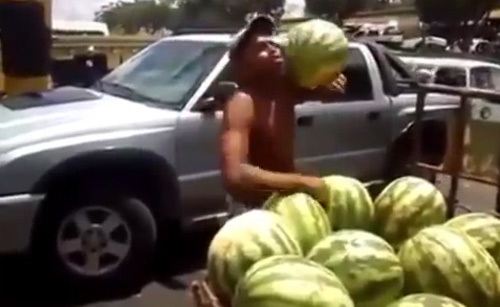 Thanh niên dùng 'tuyệt chiêu' bắt trái cây