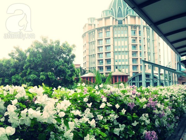 Bí kíp du lịch Singapore 4 ngày chỉ mất 4 triệu đồng