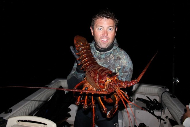 tôm hùm, biển, phát hiện, 70 năm tuổi, video