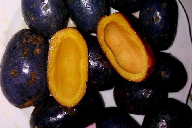 25.000 đồng/kg trái cọ, người Hà Nội tò mò mua ăn thử