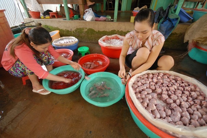 Hành trình chuột đồng lên bàn nhậu