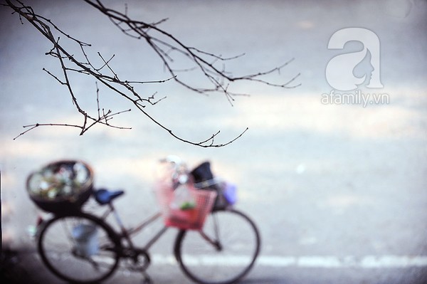 Bình yên một sáng mùa đông Hà Nội